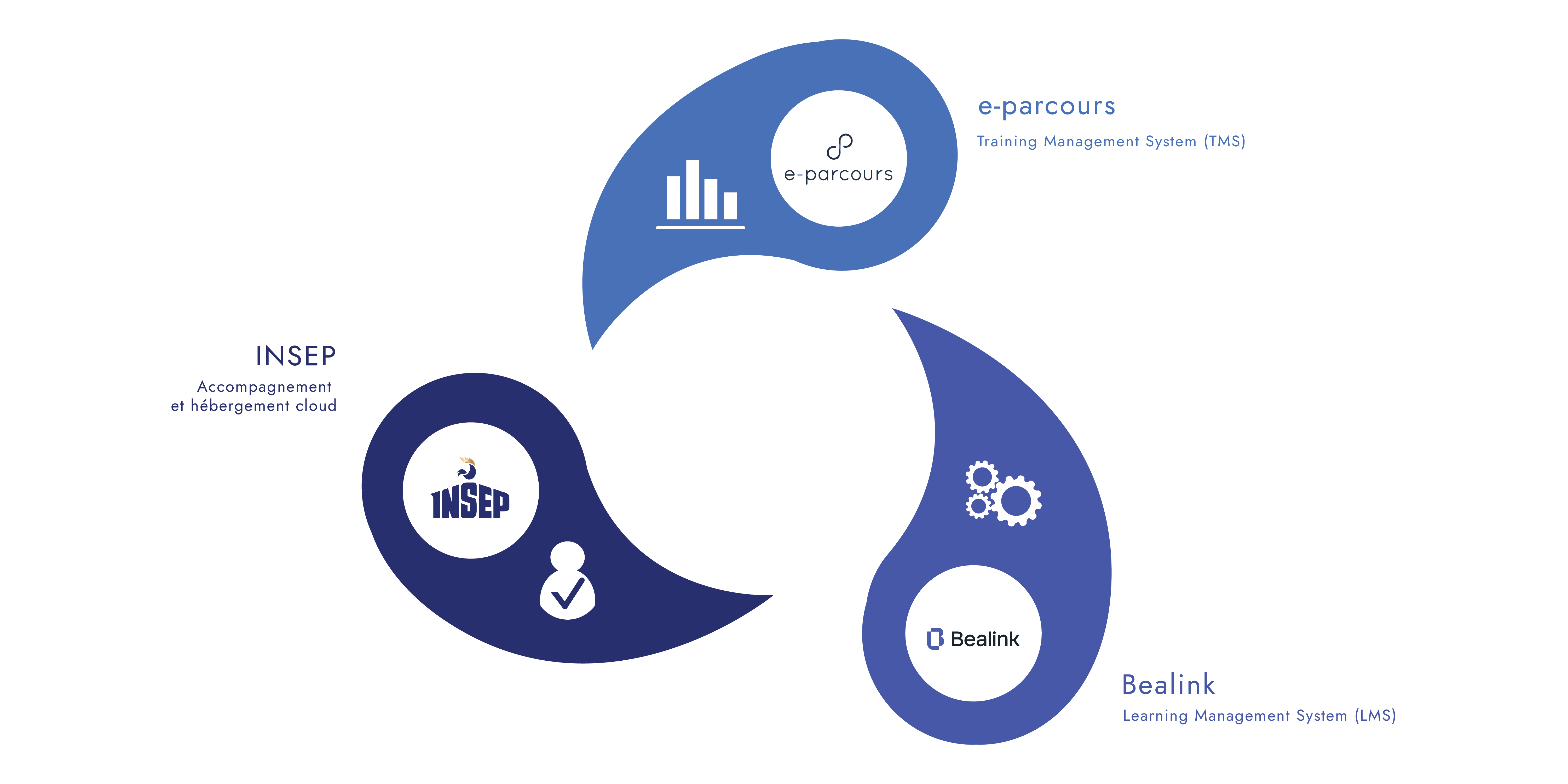 offre globale sport Axess Insep Bealink