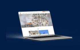 Cas client WWF - site web Drupal