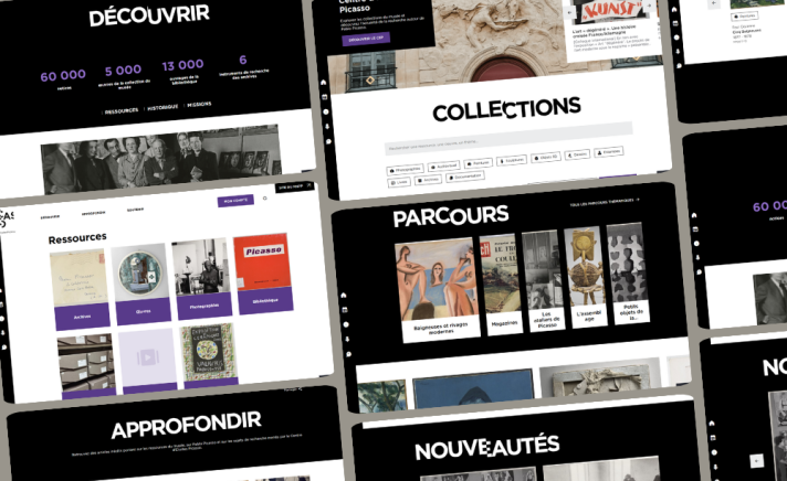 Captures site Musée Picasso-Paris