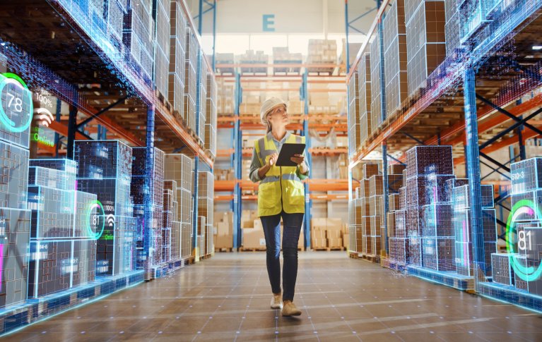 WEBINAR E-COMMERCE SPELOG