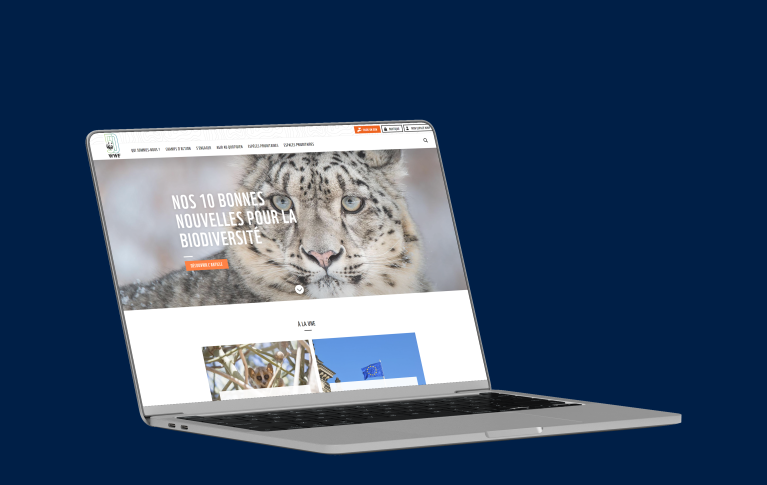 WWF - Reprise de TMA et hébergement
