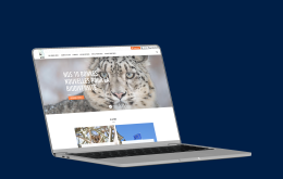 WWF - Reprise de TMA et hébergement